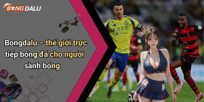 Bongdalu – thế giới trực tiếp bóng đá cho người sành bóng