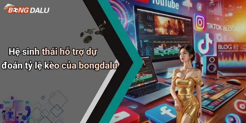 Hệ sinh thái hỗ trợ dự đoán tỷ lệ kèo của bongdalu