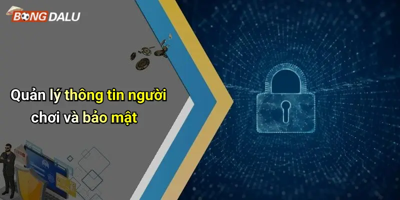 Quản lý thông tin người chơi và bảo mật