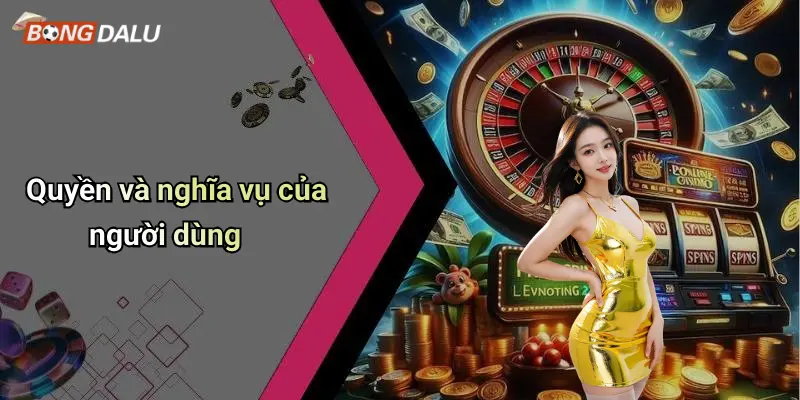 Quyền và nghĩa vụ của người dùng
