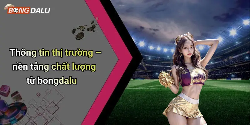 Thông tin thị trường – nền tảng chất lượng từ bongdalu