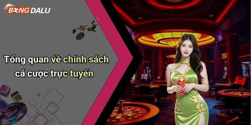 Tổng quan về chính sách cá cược trực tuyến