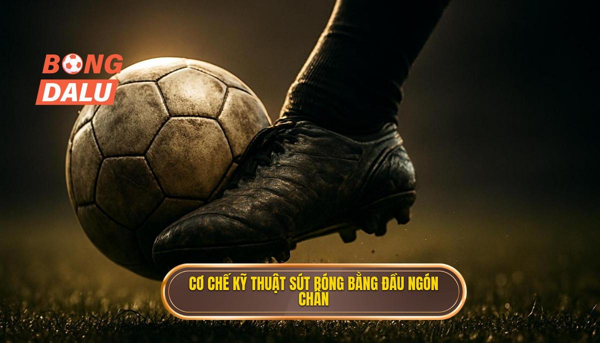 Bản chất và cơ chế hoạt động của Kỹ thuật sút bóng bằng đầu ngón chân