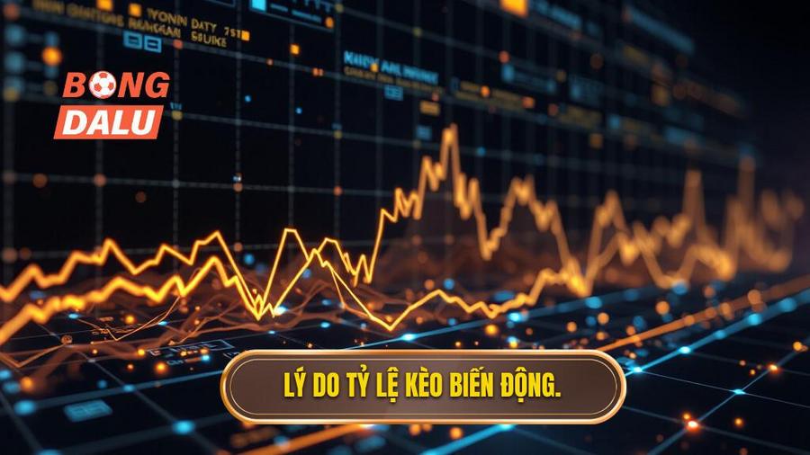 Lý do tỷ lệ kèo biến động.