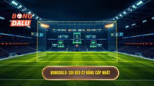 Soi kèo các trận đấu cúp C1 châu Âu 2025: Kinh nghiệm từ BONGDALU