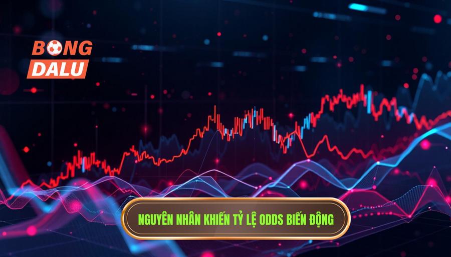 Nguyên nhân khiến tỷ lệ Odds biến động